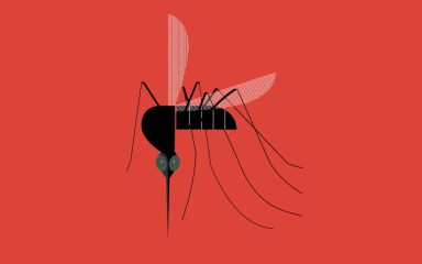 why some people are mosquito magnets