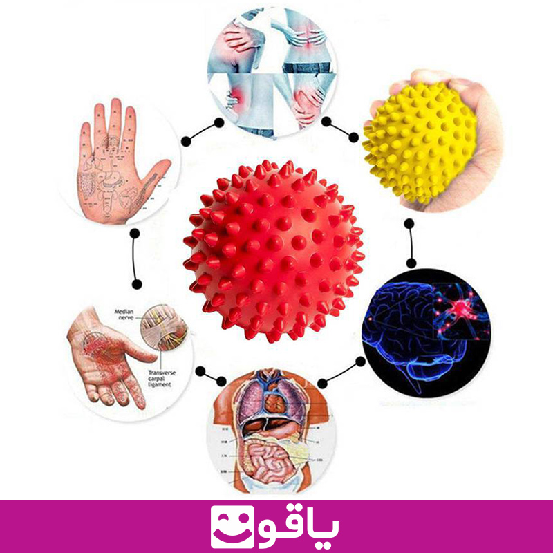 خرید و قیمت توپ ماساژ خاردار توپ دست ورز لاستیکی ماساژور دستی مرکز پخش کالا پزشکی اهواز بزرگترین فروشگاه تجهیزات پزشکی آنلاین فروش عمده تجهیزات پزشکی